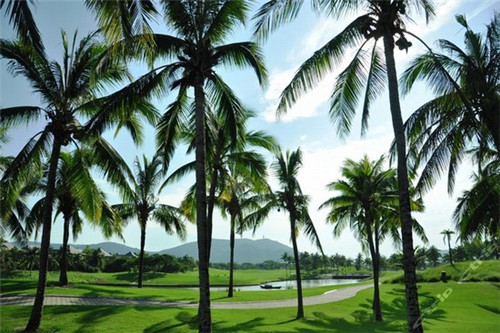 一休屋日本料理