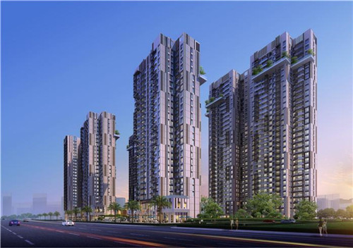 城市爱情炒酸奶