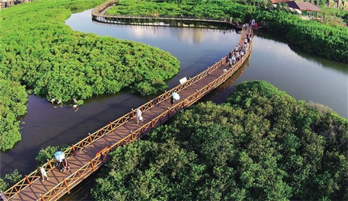 三河市的过饮水吧加盟商多吗