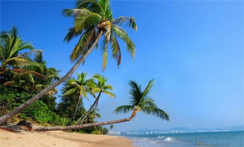 广南县黑玛瑙加盟创业选择什么品牌利润高，黑玛瑙产地是哪里