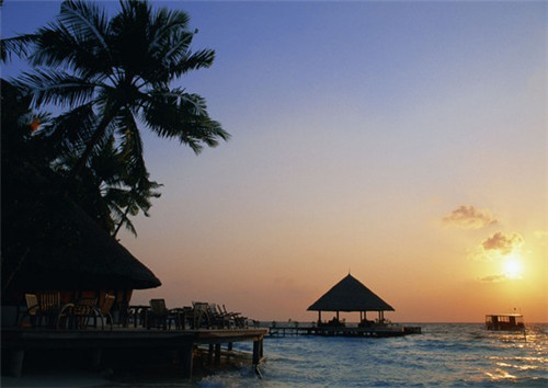 抖音号抖音码能删除吗（抖音号能找回密码吗）